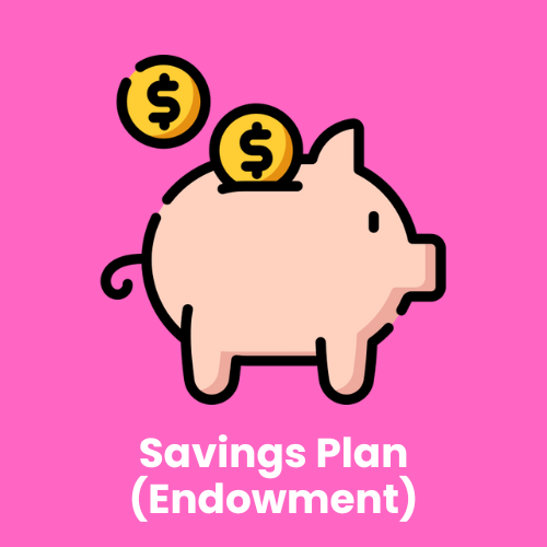 Savings Plan (Endowment)